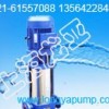  100GDL100-20 × 5 amusement park raw water pump